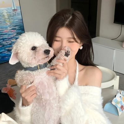 偶然的社长第三季